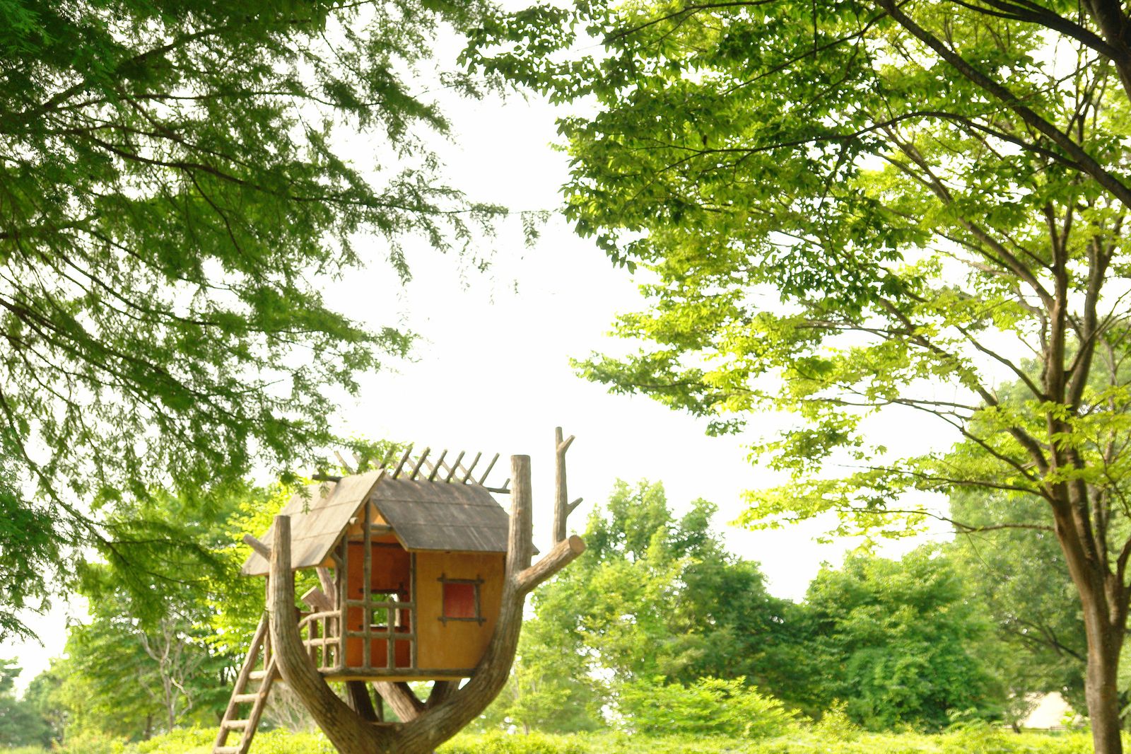 いつか登ってみたい憧れの場所へ 日本全国の素敵な ツリーハウス 7選 Retrip リトリップ