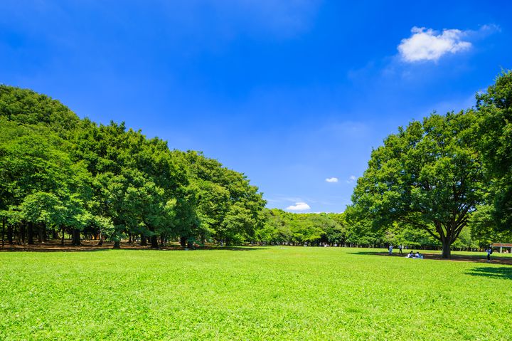 公園デート にも最適 東京都内の 広い空に出会える 公園7選 Retrip リトリップ