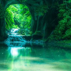 ニュース画像