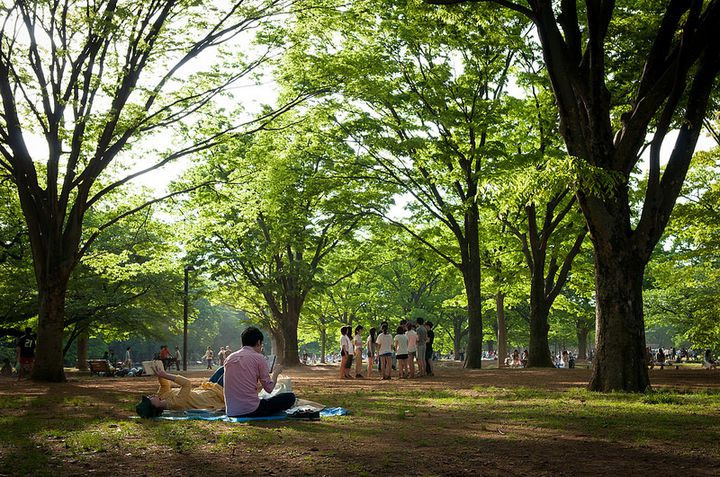休日は外で食べよう 東京都内の ピクニックできる人気スポット 10選 Retrip リトリップ