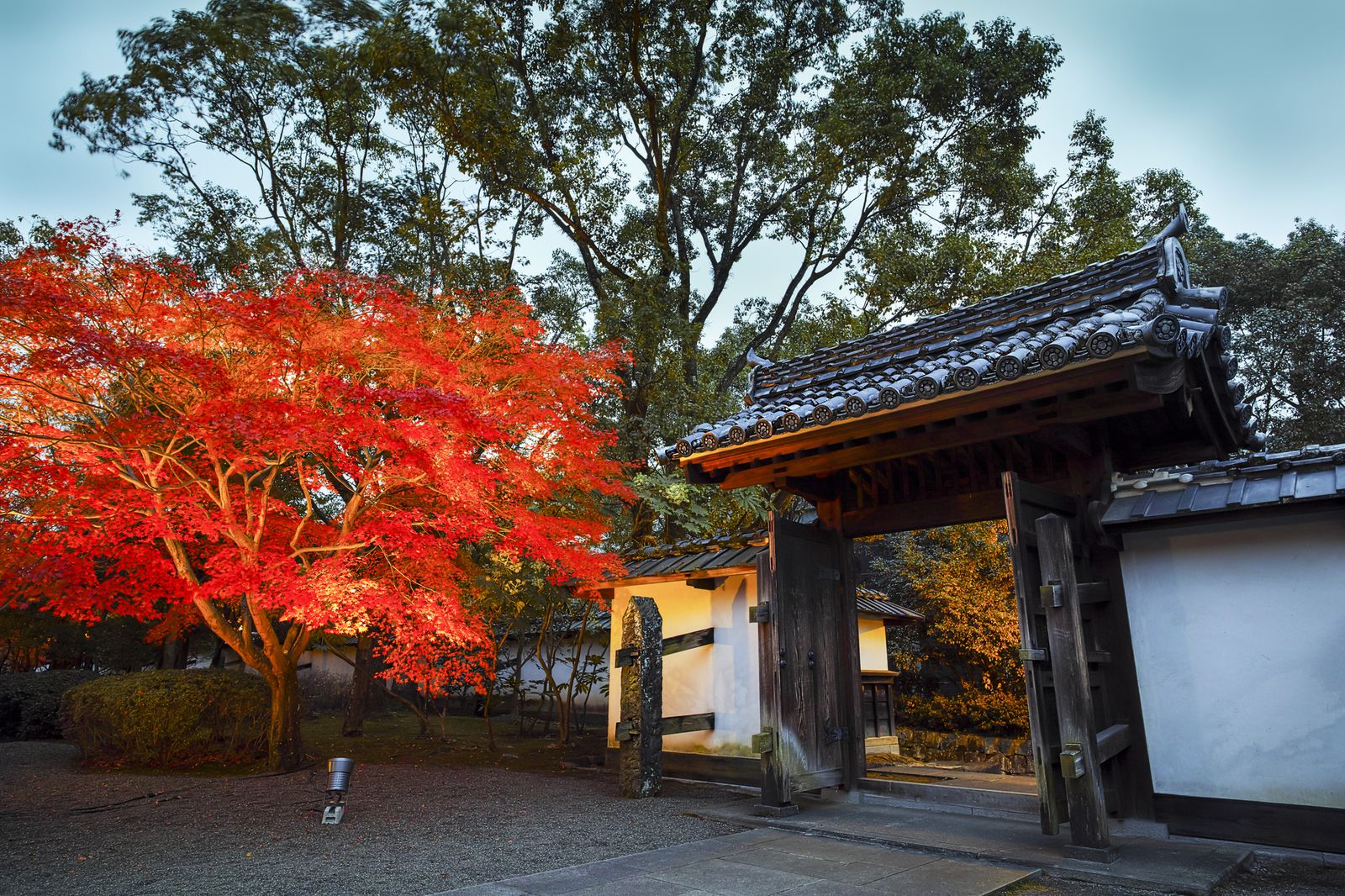 メイン画像 今だけの期間限定 旧細川刑部邸 庭園の紅葉が見ごろです Retrip リトリップ