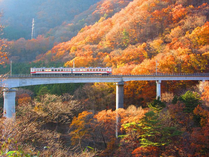 都内の紅葉スポットが集まってる 東急沿線 のおでかけスポット12選 Retrip リトリップ