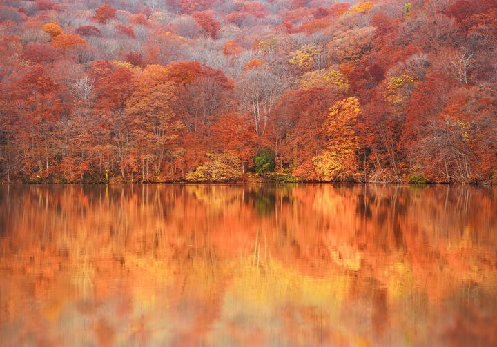 なぜ、私たちは美しいと思うのか。“水鏡によって作られる”日本の絶景8選