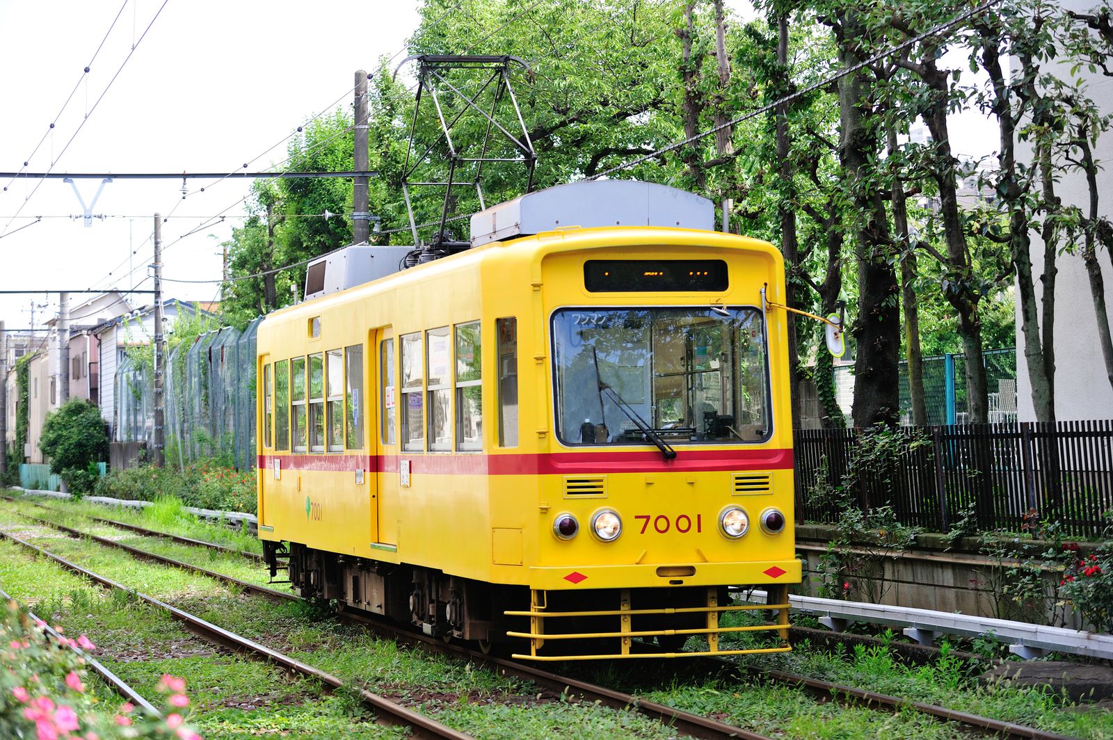 週末はのんびり旅に出よう。都電荒川線一日乗車券で行くおすすめ癒し 