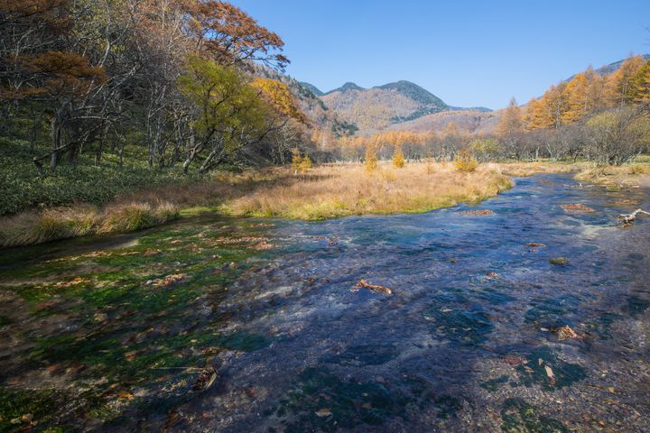 え？沼なのに地下水！メチャクチャ綺麗な沼「光徳沼」を見に行こう！