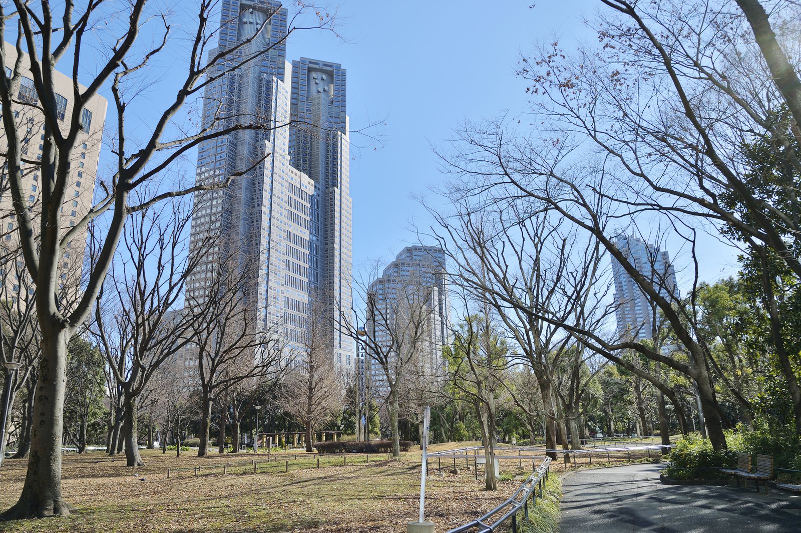 新宿中央公園 Shinjuku Central Park Retrip リトリップ