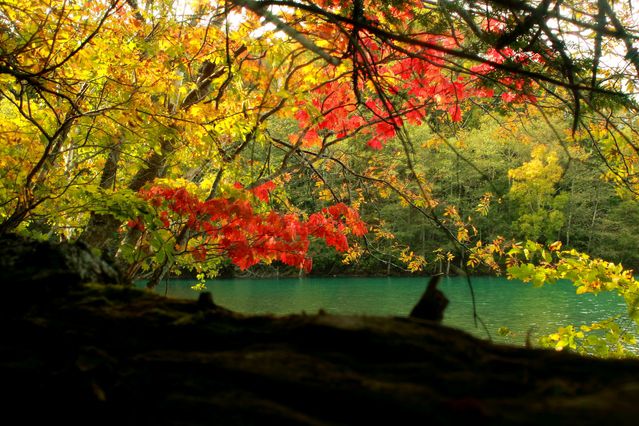 紅葉溢れる北海道はいかが 絶景を楽しめるおすすめ紅葉スポット50選 Retrip リトリップ