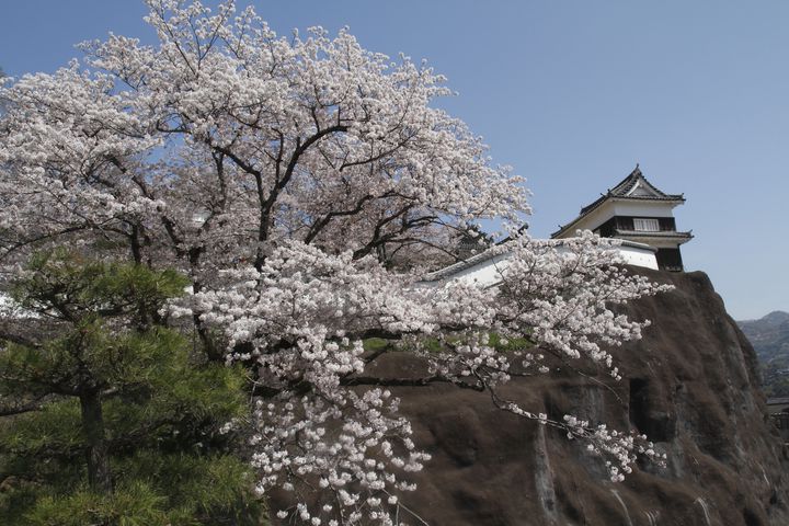 うすきブランドの街 大分県臼杵市 おすすめのお祭り イベント5選 Retrip リトリップ