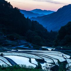 No.3【紀美野の水田里風景】 皆さん、こんにちは😊👋👋👋 今朝、私の田んぼからの景色が