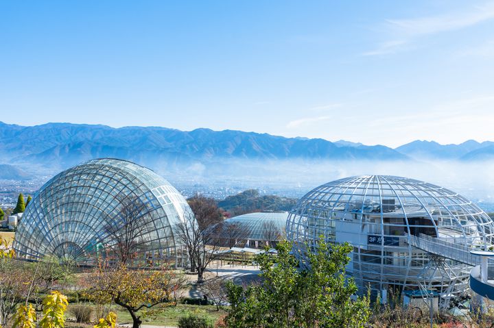 新日本三大夜景を昼から楽しむ！山梨県笛吹川フルーツ公園でしたい7つのこと