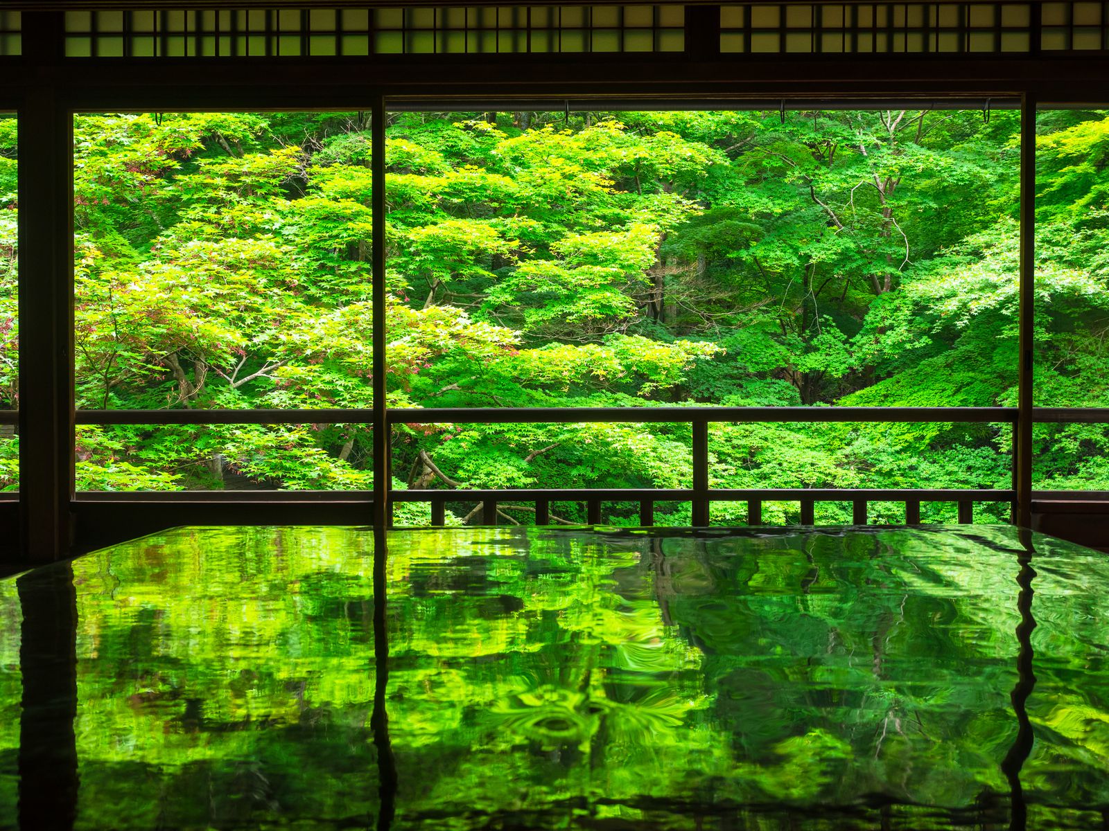 終了 一面に広がる 緑の絶景 京都 瑠璃光院で 春の拝観 開催 Retrip リトリップ