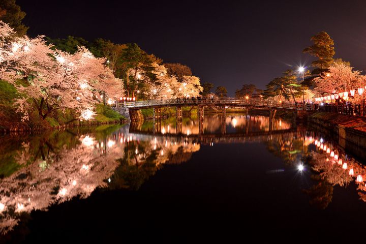 終了 その絶景に 涙する 日本三大夜桜 高田城址公園観桜会 が美しすぎると話題 Retrip リトリップ