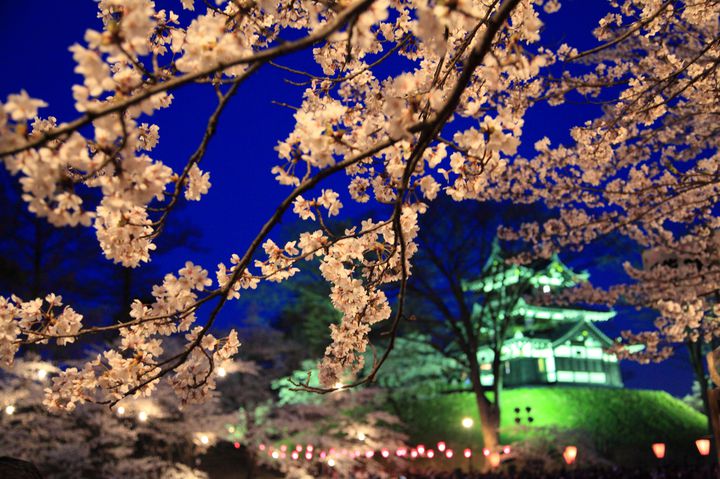 終了 その絶景に 涙する 日本三大夜桜 高田城址公園観桜会 が美しすぎると話題 Retrip リトリップ