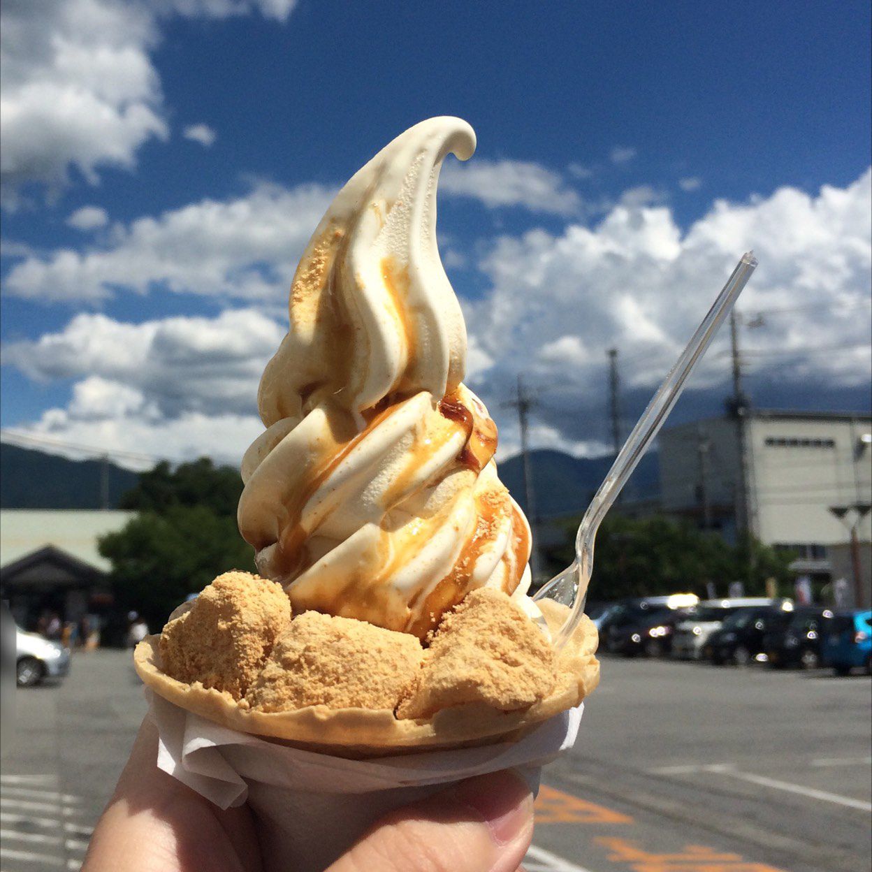 山梨 の 有名 な 食べ物
