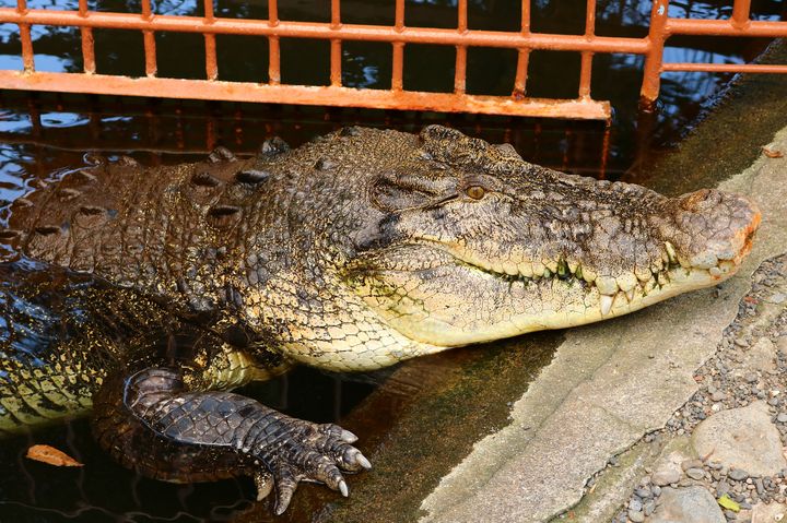 ゆったり過ごせる癒しスポット 北陸 中部のオススメ水族館ランキングtop15 Retrip リトリップ