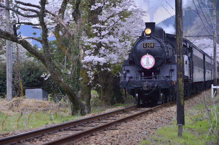 大井川鉄道のslも 大井川周辺でおすすめのホテル5選 Retrip リトリップ