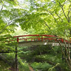 知る人ぞ知る絶景 千と千尋の神隠しのモデルになった橋 河鹿橋 が美しすぎる Retrip リトリップ