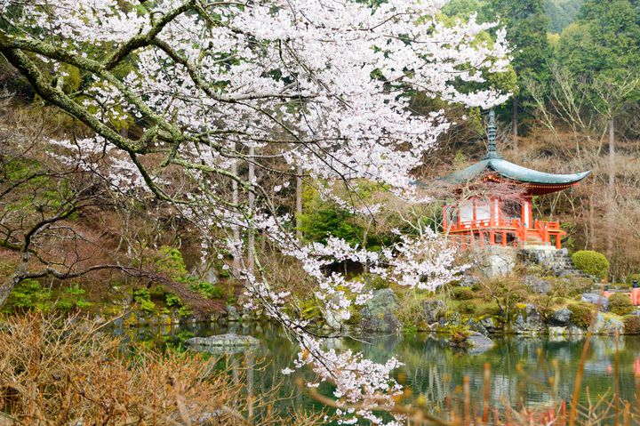 22年 関西お花見スポット完全版 府県別 関西の桜名所 総まとめ30選 Retrip リトリップ