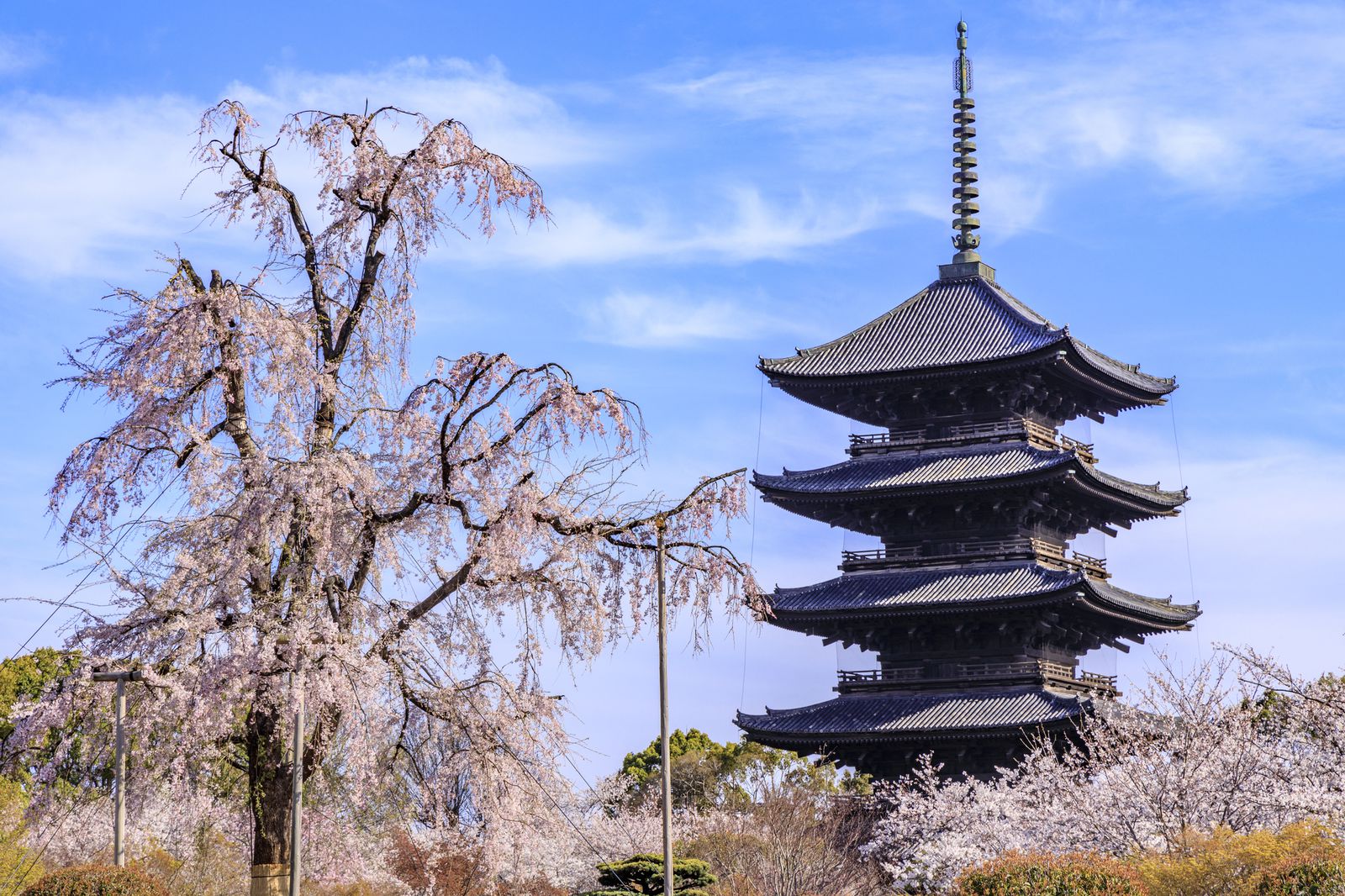 桜も笑顔も満開に 春の京都旅行 で絶対に外せないおすすめスポット12選 Retrip リトリップ