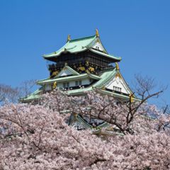 レアポケモンに必ず出会える 大阪府内の ポケモンの巣 まとめ ポケモンgo攻略 Retrip リトリップ