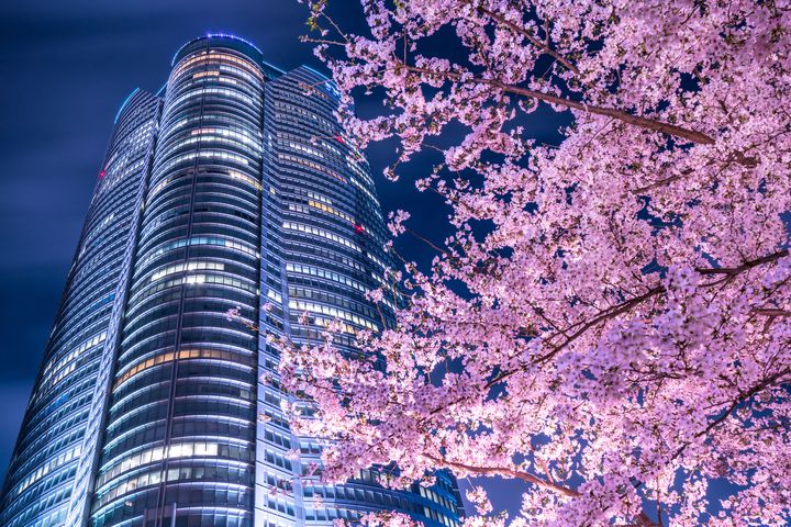【完全保存版】東京都内の夜桜の名所&お花見スポット11選《2023年》