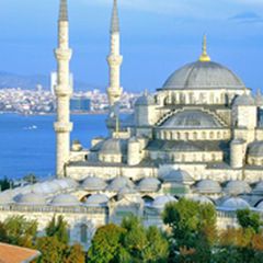 80944e850d034-35b1-4189-8c2a-