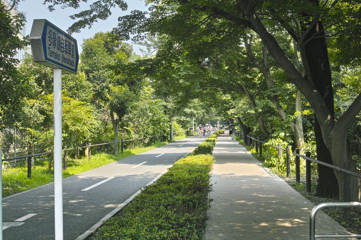 風になろう！東京のサイクリングおすすめスポット