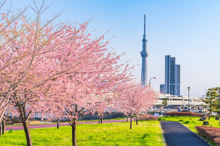 王道スポットを外してみない 東京都内のおすすめ 穴場 お花見スポット7選 Retrip リトリップ