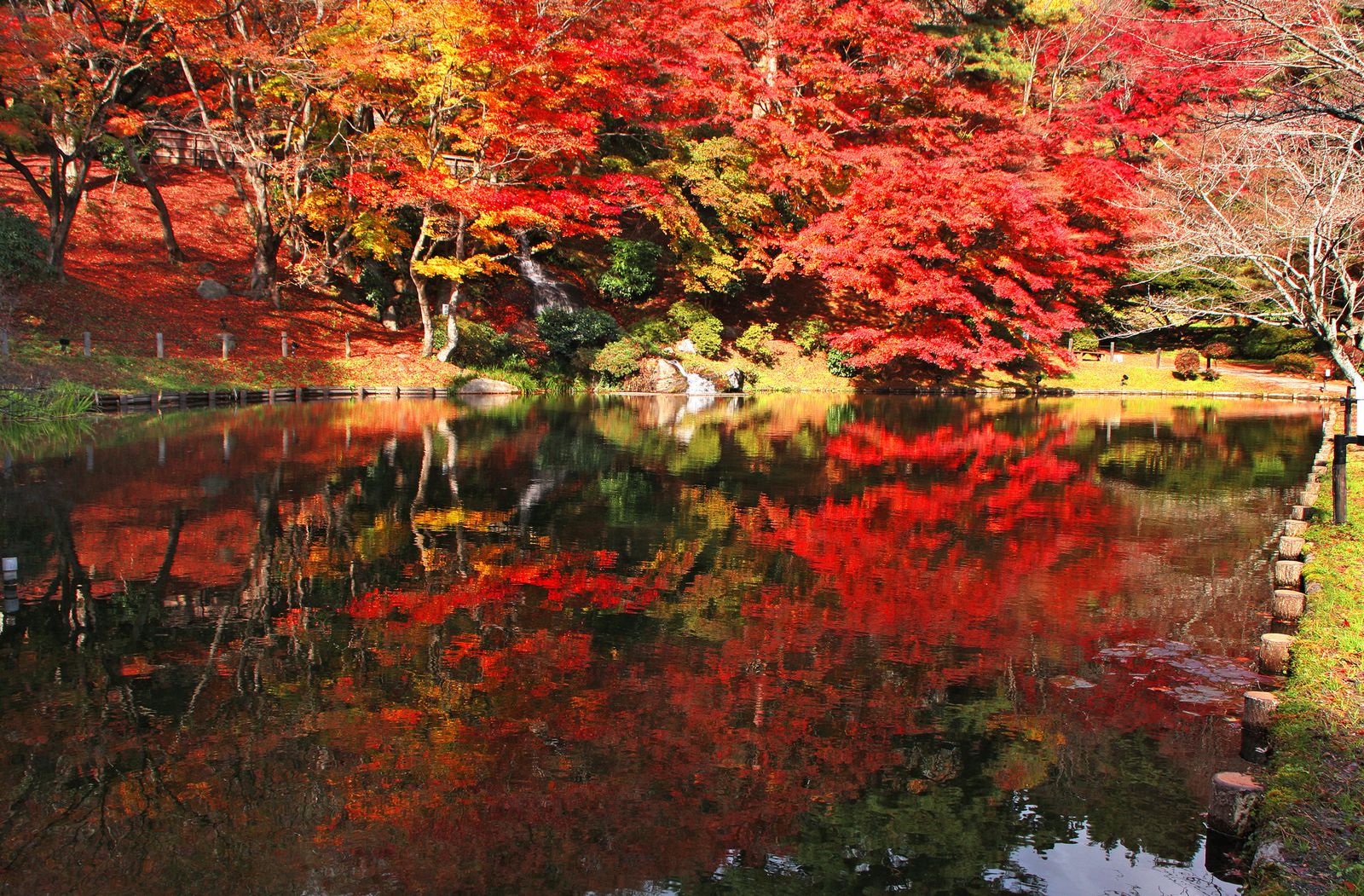 デート 紅葉 関東 付き合う前 デート 感覚