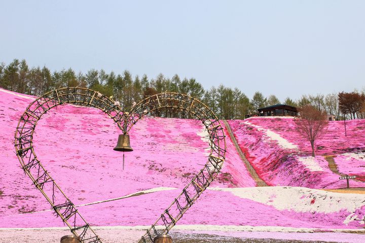 Gwにも行ける桃色の絶景 日本で見つけた可愛いピンクのスポット9選 Retrip リトリップ