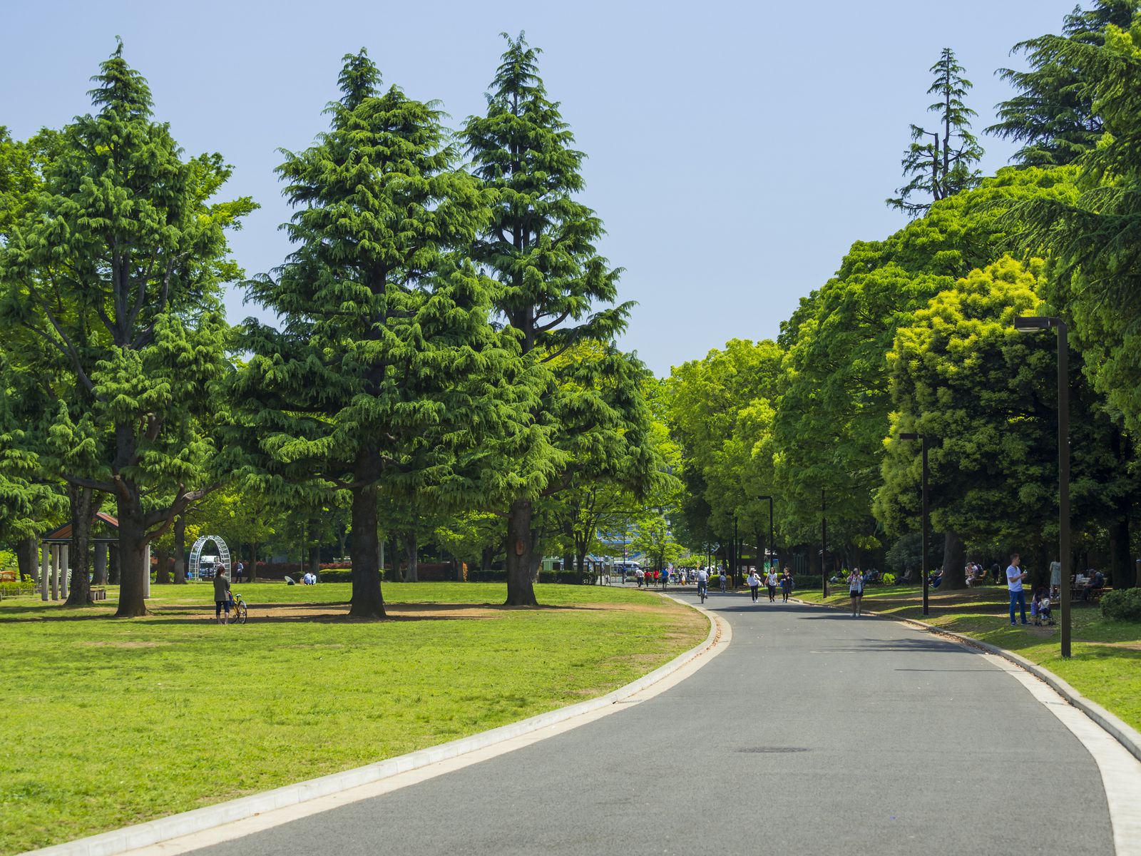 代々木公園を遊びつくせ 東京のど真ん中 代々木公園 完全ガイド Retrip リトリップ