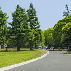 代々木公園を遊びつくせ 東京のど真ん中 代々木公園 完全ガイド Retrip リトリップ