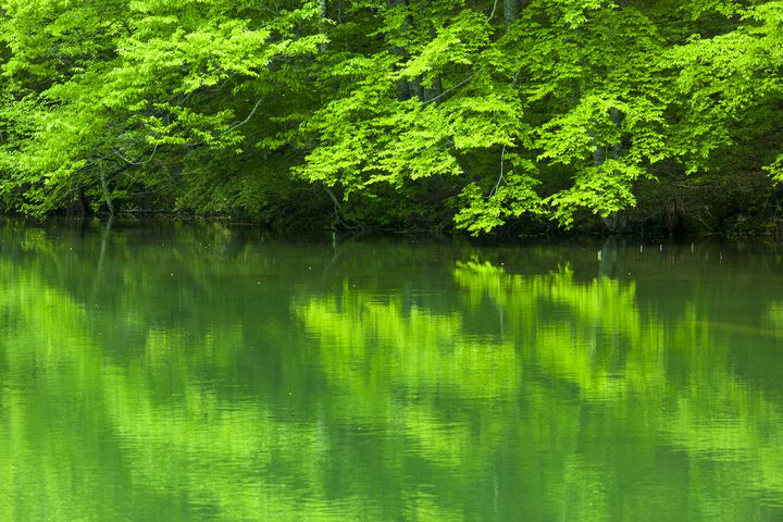 弘前の桜だけじゃない！青森フォトジェニック旅で行きたいおすすめスポット7選