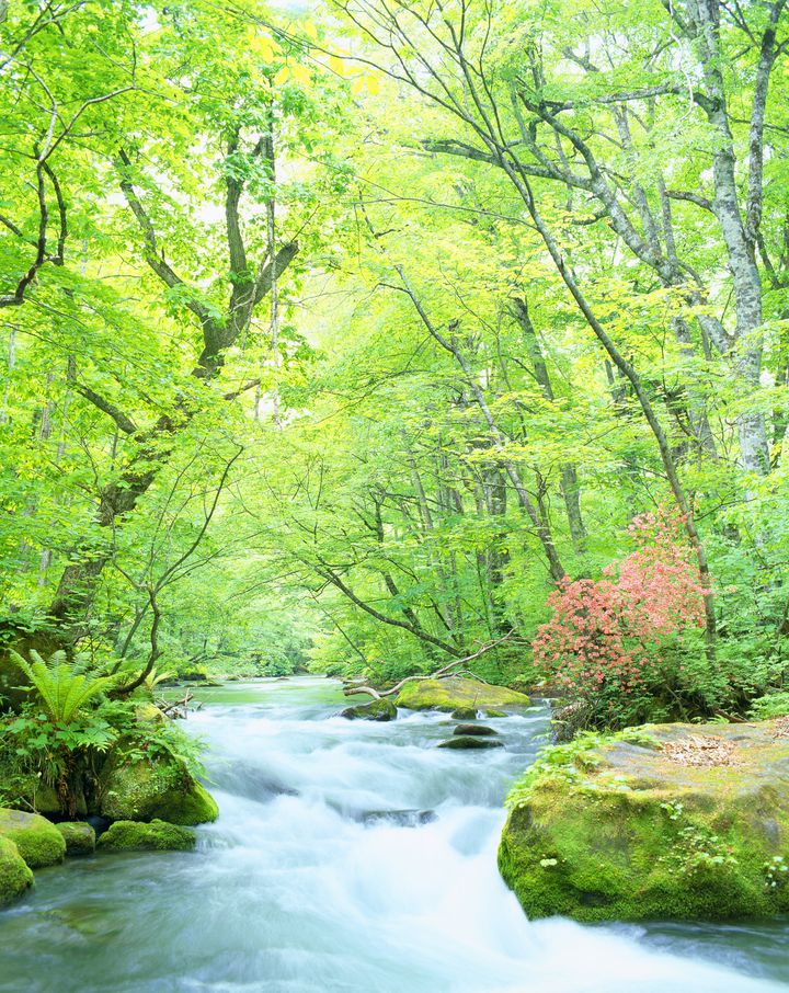 初夏の新緑絶景を。日本全国の“美しい新緑がある”絶景スポット7選 | RETRIP[リトリップ]