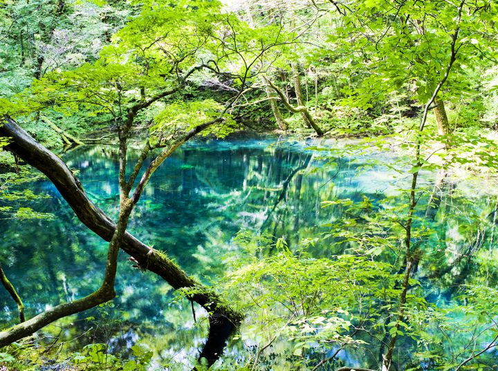 夏の疲れを癒す旅へ 日本全国の緑に囲まれた 大自然の絶景 7選 Retrip リトリップ