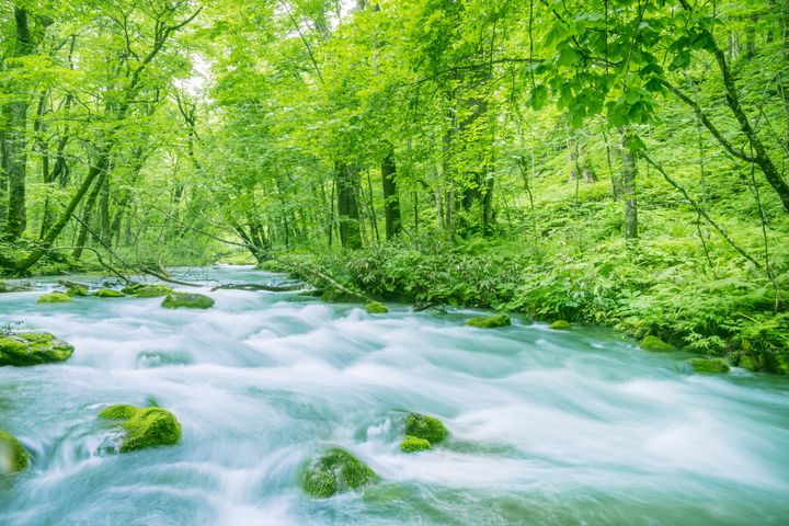 初夏の新緑絶景を。日本全国の“美しい新緑がある”絶景スポット7選