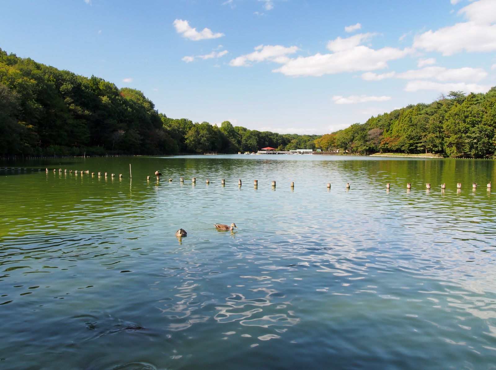 井頭公園 Retrip リトリップ