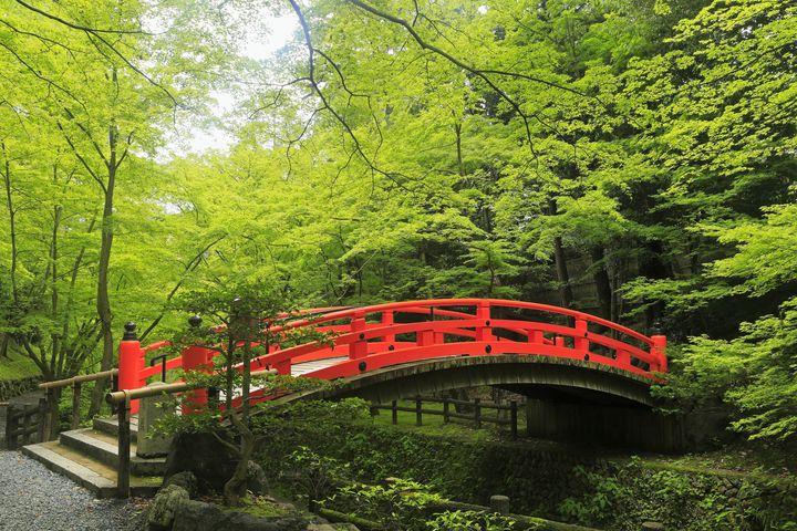 5月しか見られない絶景を 5月に行くべき京都の観光スポット10選 Retrip リトリップ