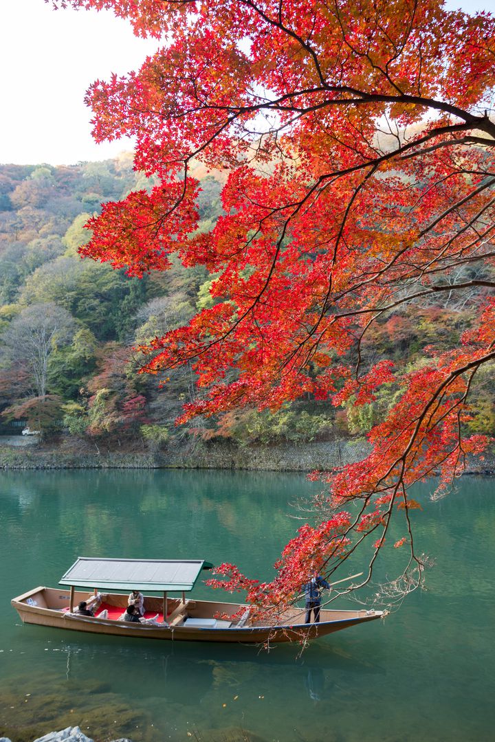 京都で朝食が美味しいホテルtop30 旅行キュレーションメディア トラベルザウルス