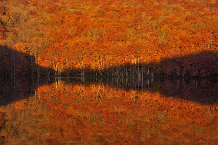 今週末はどこへ行く？日本全国の“10月に見ることができる絶景”11選