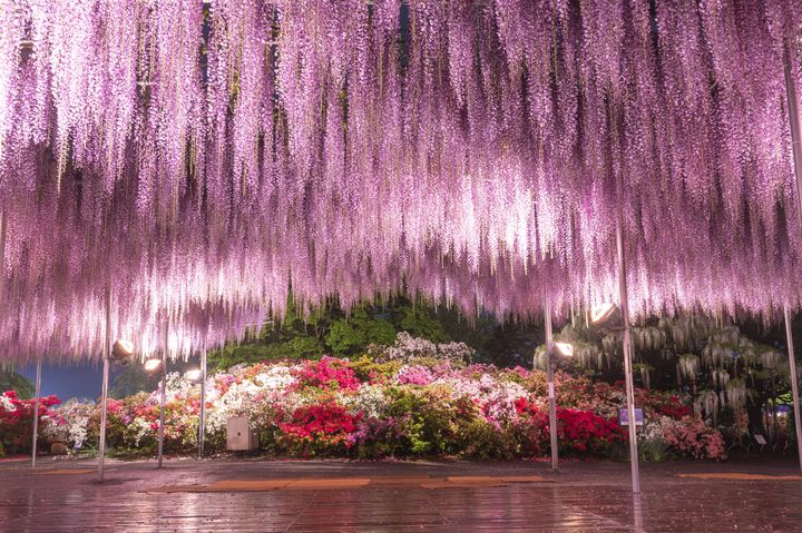 おでかけにぴったりな季節 5月に見ることができる日本全国の絶景選 Retrip リトリップ