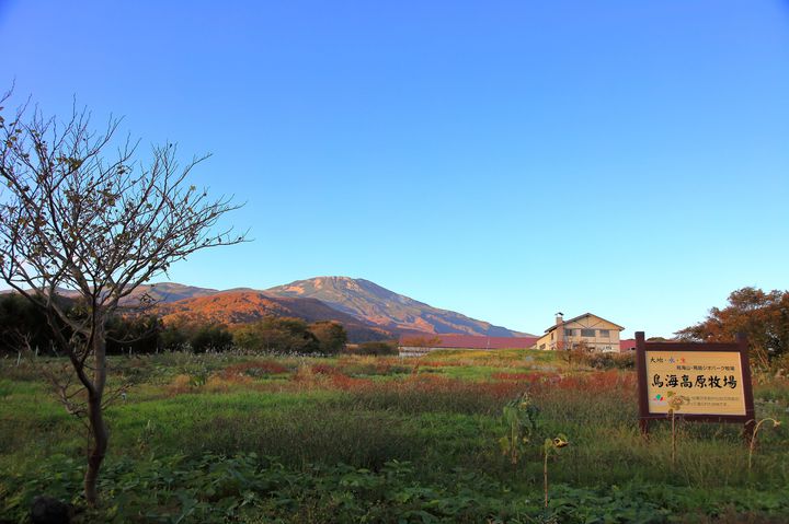 子供が絶対喜ぶ 山形県 のおすすめレジャースポット7選 Retrip リトリップ