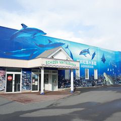 福井の雨の日デートはここ デートスポット選 Retrip リトリップ