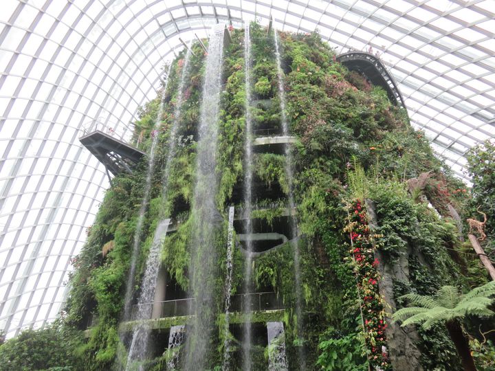 まるでアバターの世界 シンガポールの巨大植物園が近未来すぎる Retrip リトリップ