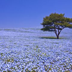 ニュース画像