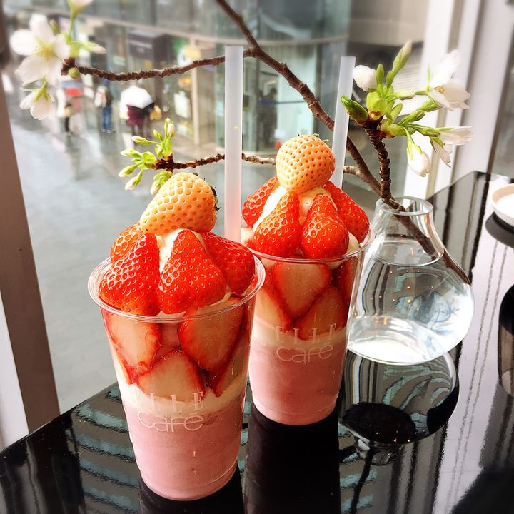 いちごの次はメロン！ギンザシックス店限定の「メロンボンボン」に注目