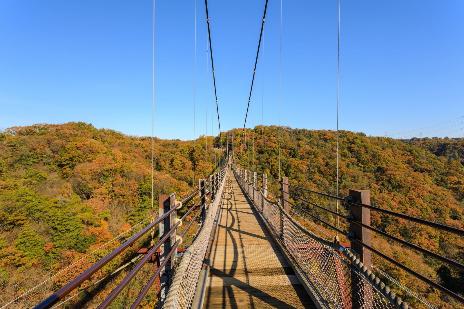 大阪 自然 デート