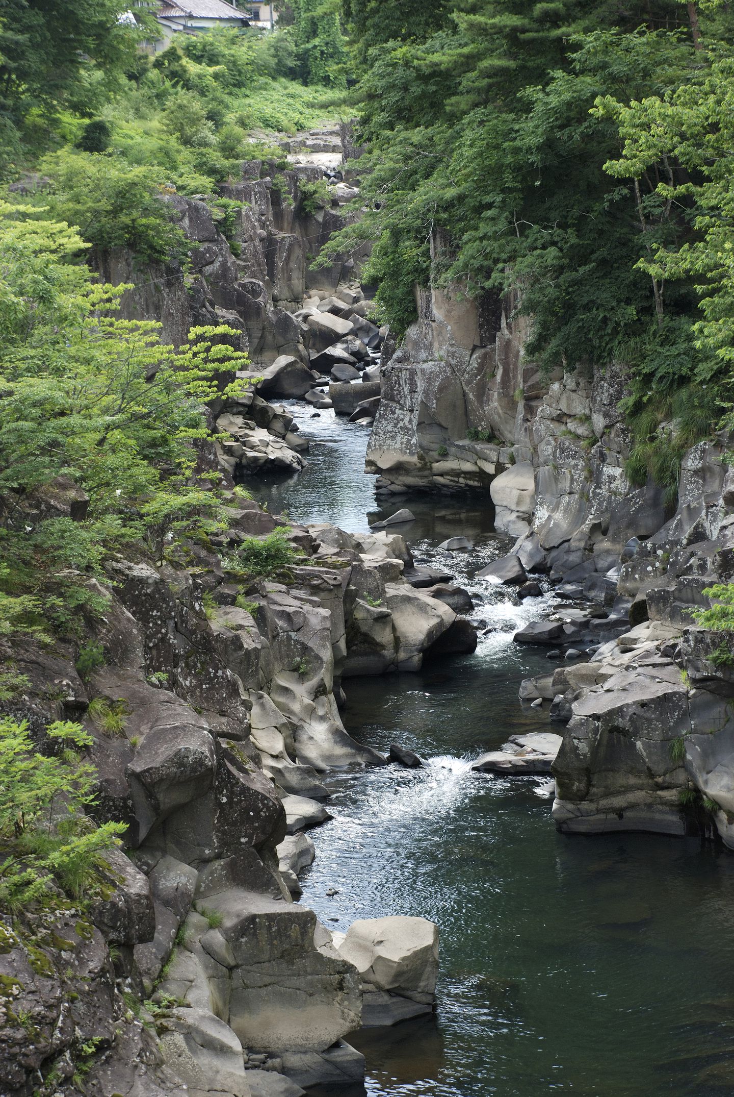 平日 デート おすすめ 岩手 彼 家 デート