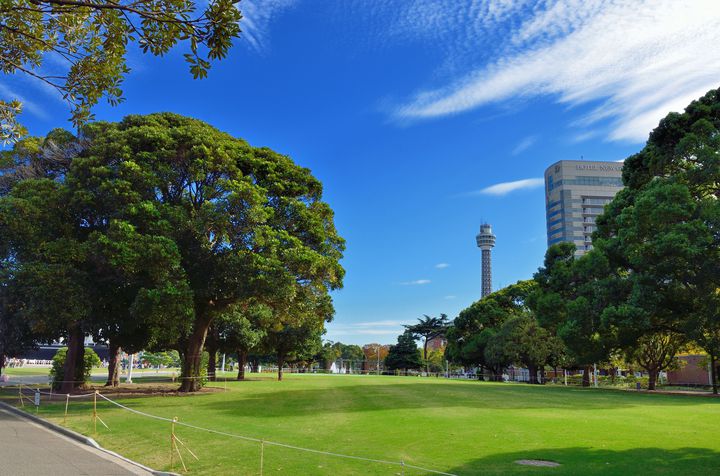 この夏子どもと行くべき こんなにあった神奈川の要チェック公園15選 Retrip リトリップ