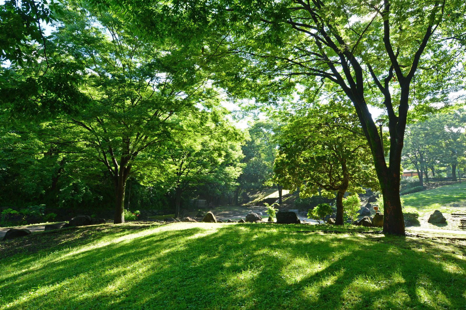 この夏子どもと行くべき こんなにあった神奈川の要チェック公園15選 Retrip リトリップ